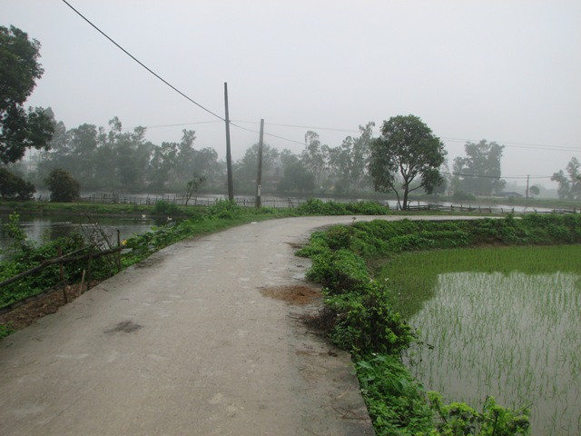 Trang trại ao cá, nuôi vịt và cánh đồng cấy giống lúa mới - Thành quả sau 30 năm lao động của gia đình ông Lê Hồng Ngọc (xóm 2, xã Tiên Tân, huyện Duy Tiên, Hà Nam). Trước đó, năm 1982, khu đất 10,83 ha do đơn vị quân đội đóng trên địa bàn xã xin mượn đất để tăng gia sản xuất nhưng vì chi phí cải tạo quá lớn nên không sử dụng được, nên đã trả lại cho UBND xã Tiên Tân. Được địa phương vận động cải tạo, ông Lê Hồng Ngọc đã đứng ra nhận đất khai hoang phục hóa để vừa sản xuất vừa cải tạo san lấp
