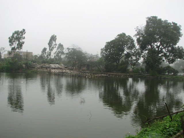 Trang trại ao cá, nuôi vịt và cánh đồng cấy giống lúa mới - Thành quả sau 30 năm lao động của gia đình ông Lê Hồng Ngọc (xóm 2, xã Tiên Tân, huyện Duy Tiên, Hà Nam). Trước đó, năm 1982, khu đất 10,83 ha do đơn vị quân đội đóng trên địa bàn xã xin mượn đất để tăng gia sản xuất nhưng vì chi phí cải tạo quá lớn nên không sử dụng được, nên đã trả lại cho UBND xã Tiên Tân. Được địa phương vận động cải tạo, ông Lê Hồng Ngọc đã đứng ra nhận đất khai hoang phục hóa để vừa sản xuất vừa cải tạo san lấp.