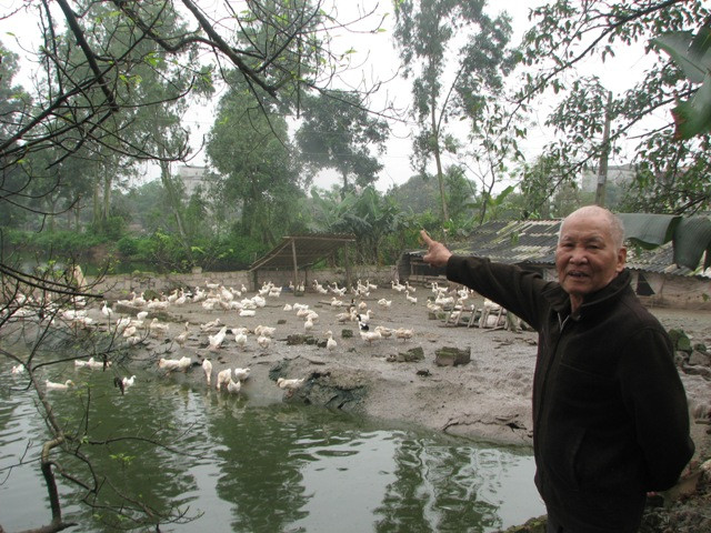 Ông Lê Hồng Ngọc bức xúc: "Sau 30 năm đổ mồ hôi nước mắt cải tạo đất hoang, giờ đây số tiền đền bù hơn 2 triệu đồng cho 5.022 m2 chỉ bằng tiền bán trứng của đàn vịt đẻ sau một đêm" Ông Lê Hồng Ngọc bức xúc: "Sau 30 năm đổ mồ hôi nước mắt cải tạo đất hoang, giờ đây số tiền đền bù hơn 2 triệu đồng cho 5.022 m2 chỉ bằng tiền bán trứng của đàn vịt đẻ sau một đêm"