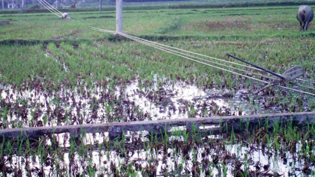 Trụ điện đỗ ngã do lốc xoáy tại huyện An Lão. Trụ điện đỗ ngã do lốc xoáy tại huyện An Lão.