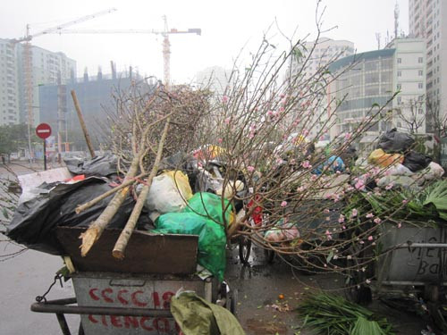 Xuân tàn trên những xe rác.