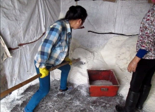 Muối sẽ được bán theo phương, nếu ngày nắng to diêm dân có thể làm được từ 6 đến 10 phương muối Muối sẽ được bán theo phương, nếu ngày nắng to diêm dân có thể làm được từ 6 đến 10 phương muối