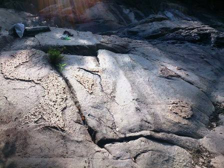 Xung quanh vị trí "bản đồ Việt Nam" lớn còn có một số vị trí khác cùng màu thể hiện bản đồ của quốc gia khác Xung quanh vị trí "bản đồ Việt Nam" lớn còn có một số vị trí khác cùng màu thể hiện bản đồ của quốc gia khác