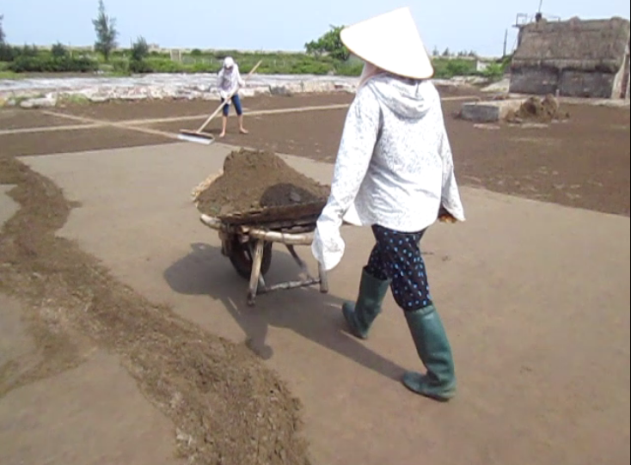 Cát sau khi phơi chuẩn bị đưa vào bể lọc vào buổi xế chiều Cát sau khi phơi chuẩn bị đưa vào bể lọc vào buổi xế chiều