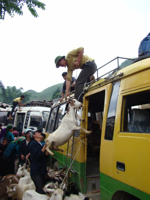 Sau đó chất lên xe hàng Sau đó chất lên xe hàng