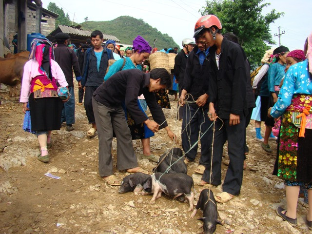 Thuận mua, vừa bán Thuận mua, vừa bán
