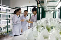 Trường ĐH Sư phạm - ĐH Đà Nẵng đào tạo ngành Hóa học “vững nền tảng, mạnh thực hành”