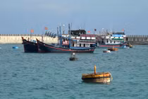 Ứng dụng công nghệ, chuyển đổi số trong ngư nghiệp để đảm bảo sinh kế bền vững cho ngư dân