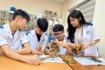 Trường nghề kiến nghị cần có khung quy trình tuyển chọn, quản lý đối với giảng viên đồng cơ hữu