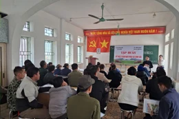 Thành viên Hợp tác xã Nông nghiệp Ba sạch Hưng Đạo trong quá trình sản xuất. Ảnh NVCC.