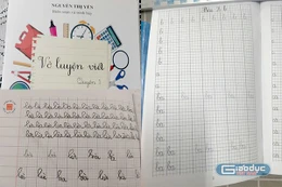 GV dạy luyện viết theo vở mua riêng, học sinh lớp 1 gặp khó, Hiệu trưởng TH Đông Xuân nói đã dừng