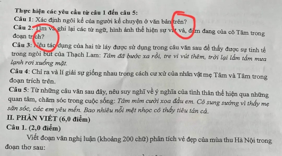 Một phần Đề khảo sát môn Ngữ văn lớp 11 của Sở Giáo dục và Đào tạo Hà Nội. Cách dùng dấu (?) gây ý kiến được khoanh màu đỏ. 432410927_902296248309741_3425400547598622393_n.gif