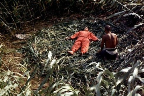 Một cảnh trong phim "Cao Lương đỏ". Một cảnh trong phim "Cao Lương đỏ".