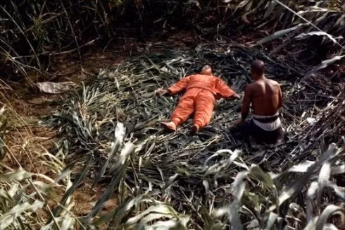 Một cảnh trong phim "Cao Lương đỏ". Một cảnh trong phim "Cao Lương đỏ".