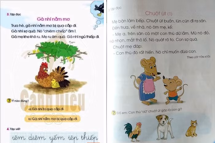 Không ít các bậc phụ huynh và giáo viên bày tỏ không thể lý giải nổi vì sao gà trống vốn chỉ là một con vật bình thường lại hóa thành… thú dữ trong sách. Ảnh: TD.