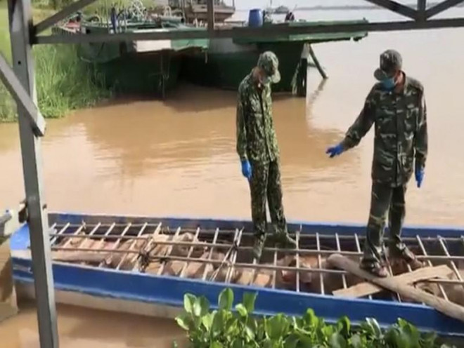 Khoảng 2 tấn heo có thể trạng rất yếu, toàn thân tím tái.