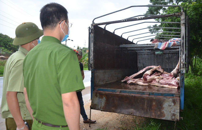 Số thịt lợn dương tính với vi rút dịch tả lợn Châu phi được lực lượng chức năng bắt giữ được. Ảnh: Đội QLTT số 3. Số thịt lợn dương tính với vi rút dịch tả lợn Châu phi được lực lượng chức năng bắt giữ được. Ảnh: Đội QLTT số 3.