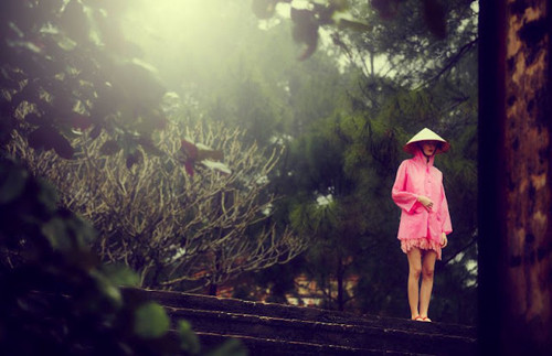 Rừng cây rậm rạp bỗng trở nên liêu trai, kỳ bí, đầy sức mê hoặc và cuốn hút. (Ảnh: tiin) Xem thêm: Mix đồ cho quý cô công sở/ Diện sơ mi đẹp như Thanh Hằng. Rừng cây rậm rạp bỗng trở nên liêu trai, kỳ bí, đầy sức mê hoặc và cuốn hút. (Ảnh: tiin) Xem thêm: Mix đồ cho quý cô công sở/ Diện sơ mi đẹp như Thanh Hằng.