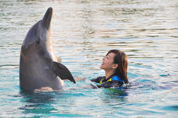 Trương Tịnh Sơ sẽ vào vai một nữ điệp viên trong vụ tranh giành bức tranh Phú Xuân nổi tiếng. Trương Tịnh Sơ sẽ vào vai một nữ điệp viên trong vụ tranh giành bức tranh Phú Xuân nổi tiếng.