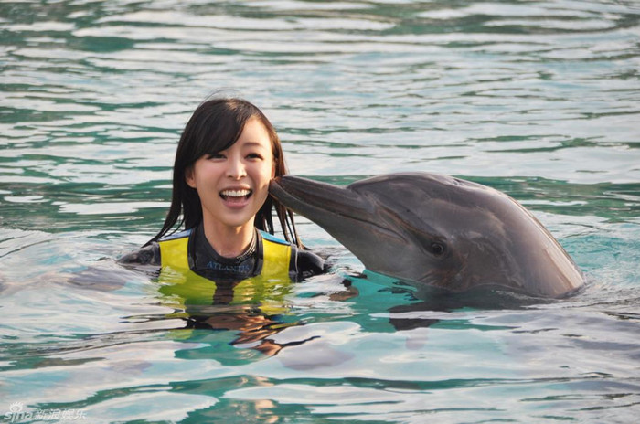 Mới đầu, Trương Tịnh Sơ nhận được sự chào đón của những chú cá heo tại hồ bơi. Giữa người đẹp và những chú cá heo thông minh đã có sự gần gũi, thân thiết như những người bạn lâu ngày không gặp. Mới đầu, Trương Tịnh Sơ nhận được sự chào đón của những chú cá heo tại hồ bơi. Giữa người đẹp và những chú cá heo thông minh đã có sự gần gũi, thân thiết như những người bạn lâu ngày không gặp.