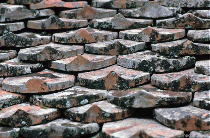 Mái ngói vẩy rồng tại chùa Thầy. Ảnh chụp năm 1991.