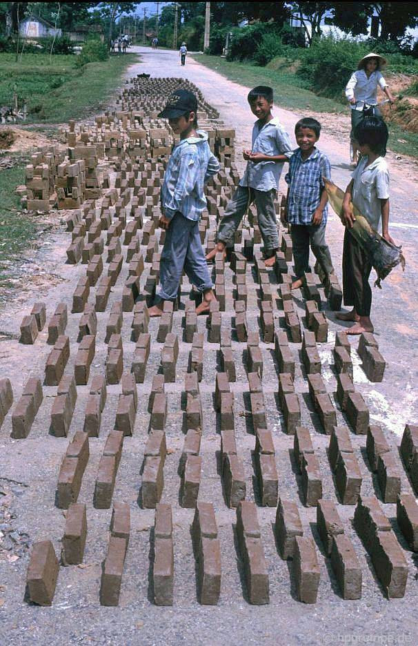 Trẻ em sống cạnh Đền Cổ Loa. Trẻ em sống cạnh Đền Cổ Loa.