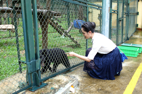 Có mặt tại Trung tâm, Á hậu Hoàng Anh được các cán bộ tại trung tâm giới thiệu về các loài gấu đồng thời giới thiệu về các hoạt động cứu hộ. Có mặt tại Trung tâm, Á hậu Hoàng Anh được các cán bộ tại trung tâm giới thiệu về các loài gấu đồng thời giới thiệu về các hoạt động cứu hộ.
