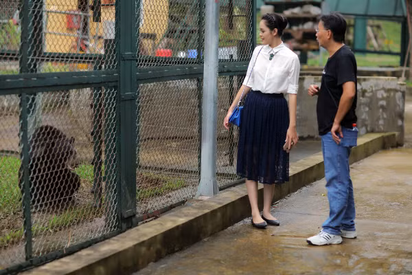 Vừa qua, Á hậu Hoàng Anh đã có mặt tại Trung tâm cứu hộ gấu Tam Đảo.