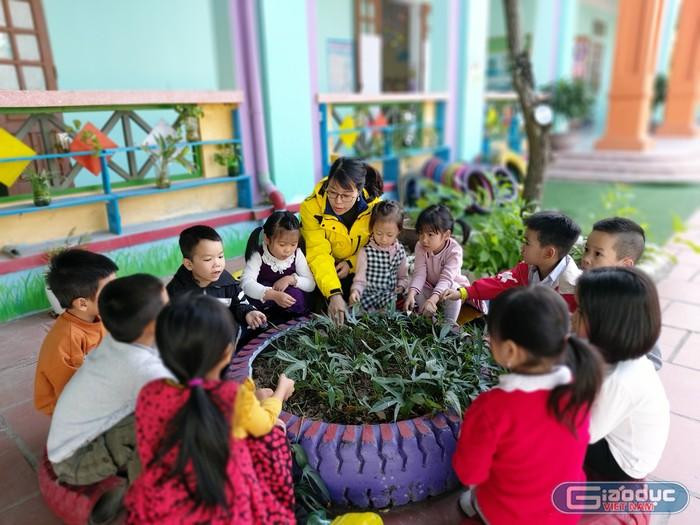 Tỉnh Hải Dương cũng đang lúng túng trong việc thực hiện hỗ trợ sinh viên ngành sư phạm theo Nghị định 116/2020/NĐ-CP (Ảnh: Lã Tiến) Tỉnh Hải Dương cũng đang lúng túng trong việc thực hiện hỗ trợ sinh viên ngành sư phạm theo Nghị định 116/2020/NĐ-CP (Ảnh: Lã Tiến)