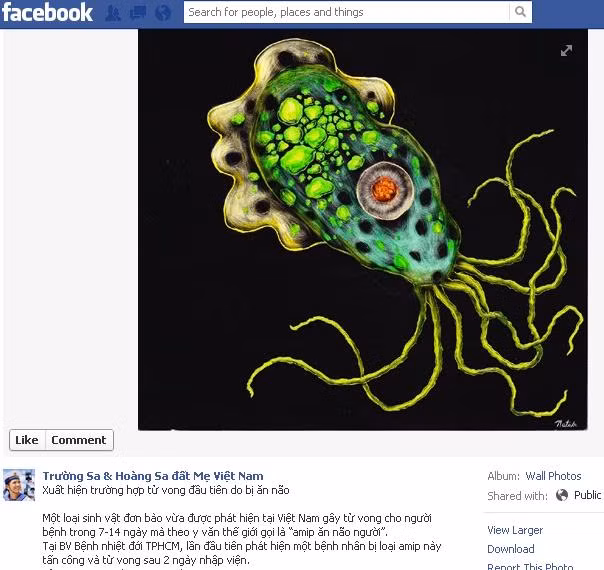 Cư dân facebook xôn xao loại amip ăn não người dẫn đến tử vong. Xem thêm ở đây <<<