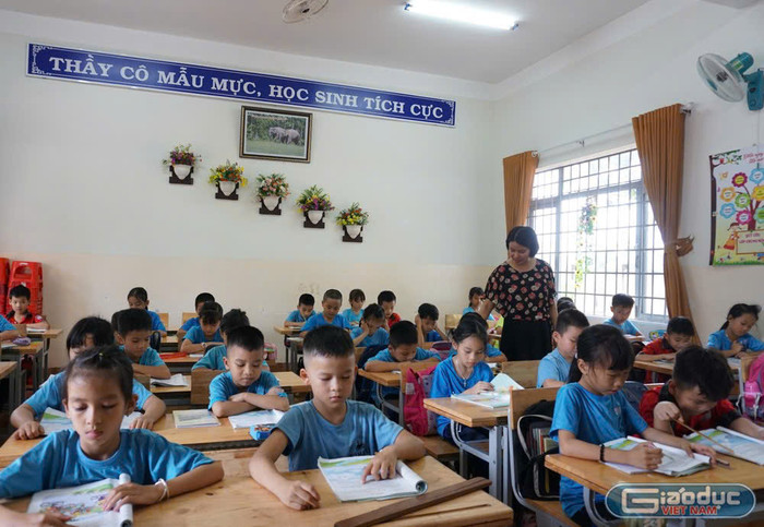Ảnh minh hoạ: Nguyên Phương. 6b891b16-5b27-4276-9068-e5e12efc79ae.jpeg
