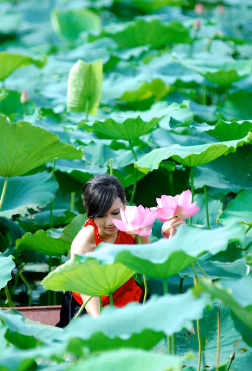 Có lẽ vì vẻ đẹp thanh tao, thuần khiết mà sen được nhiều thiếu nữ Việt yêu thích.(Ảnh: 24h) Xem thêm: Cơn sốt "thiên sứ 9X": Đẹp như mỹ nhân cổ trang Trung Hoa