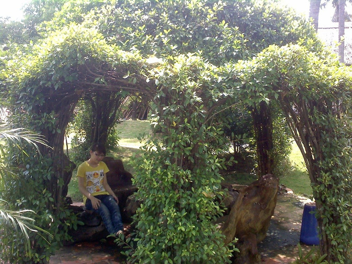 Sở thích của mình là nghe nhạc, đọc truyện, xem phim.