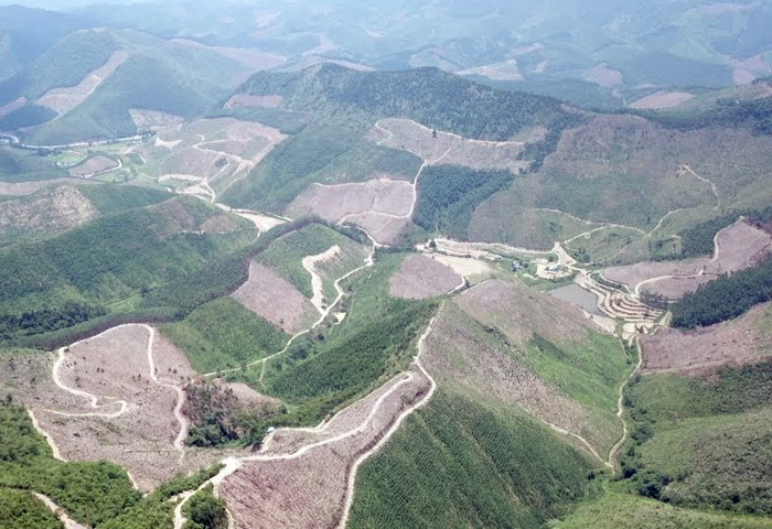 Rừng phòng hộ tại thị xã Đông Triều (Quảng Ninh) bị phá tan, đốt trọc. (Ảnh: Lã Tiến) Rừng phòng hộ tại thị xã Đông Triều (Quảng Ninh) bị phá tan, đốt trọc. (Ảnh: Lã Tiến)