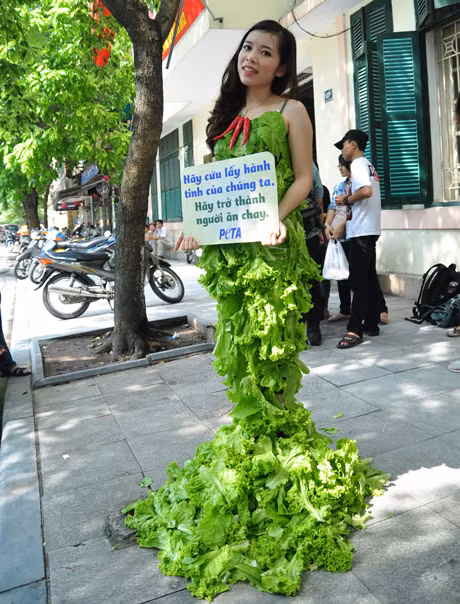 Đàm Thị Loan, cô sinh viên năm 4 Học viện Tài Chính Hà Nội với chiếc váy rau diếp bên cạnh Hồ Gươm. Ảnh. Dân Trí.