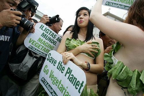 Các thiếu nữ là những nhà hoạt động của PETA của Mỹ, Philippine và Canada trong trang phục bikini rau diếp ở Plaza Minranda tại Manila, Philippine. Ảnh. Asianoffbeat.