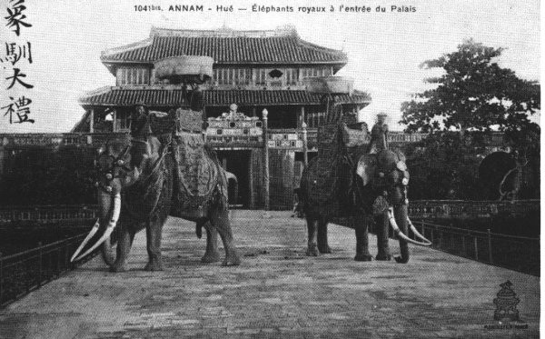 Tượng binh (voi của triều đình). Tượng binh (voi của triều đình).