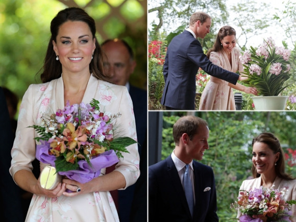 Cặp đôi dừng lại và ngắm nhìn những loài thực vật từ khắp nơi trên thế giới tại Vườn hoa lan quốc gia, địa điểm thu hút khách trong Vườn bách thảo của Singapore. Cặp đôi dừng lại và ngắm nhìn những loài thực vật từ khắp nơi trên thế giới tại Vườn hoa lan quốc gia, địa điểm thu hút khách trong Vườn bách thảo của Singapore.