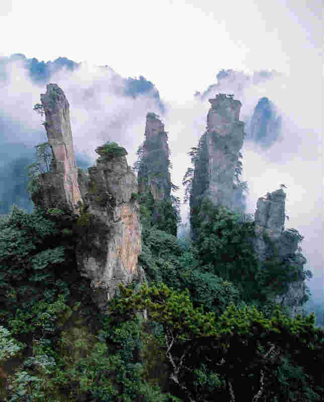 Cảnh sắc Trương Gia Giới. > Phút sửng sốt của 'bà phù thủy' tạo ra Ngộ Không, Bát Giới, Đường Tăng