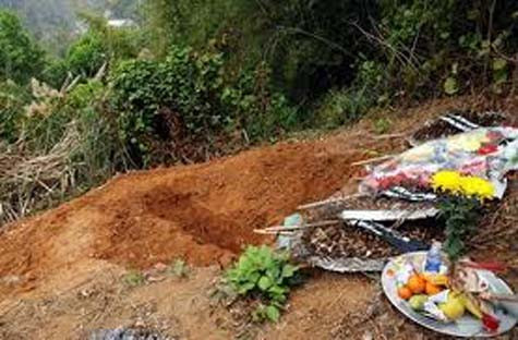 ảnh minh họa ảnh minh họa