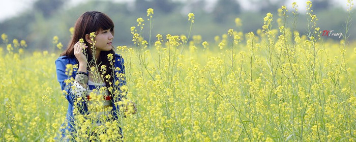 Duyên dáng giữa vườn cải vàng thơm....