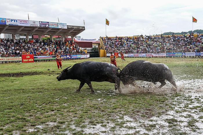 Các kháp đấu diễn ra hấp dẫn với nhiều miếng cáng đẹp mắt. (Ảnh: Hoàng Phước) Các kháp đấu diễn ra hấp dẫn với nhiều miếng cáng đẹp mắt. (Ảnh: Hoàng Phước)