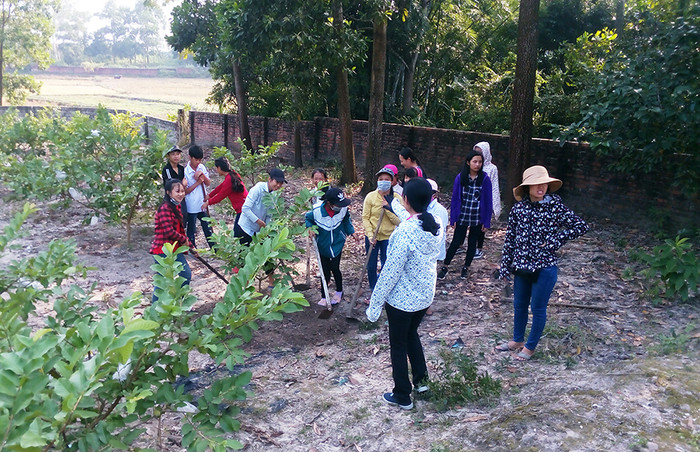 Một giờ học thực hành chăm sóc cây ăn quả của học sinh Trường Trung học cơ sở Lê Lợi tại vườn mẫu gia đình bà Lê Thị Nụ (ở thôn Tân Tiến, xã Lê Lợi). (Ảnh: CTV) Một giờ học thực hành chăm sóc cây ăn quả của học sinh Trường Trung học cơ sở Lê Lợi tại vườn mẫu gia đình bà Lê Thị Nụ (ở thôn Tân Tiến, xã Lê Lợi). (Ảnh: CTV)
