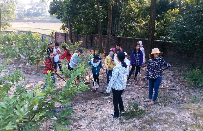 Một giờ học thực hành chăm sóc cây ăn quả của học sinh Trường Trung học cơ sở Lê Lợi tại vườn mẫu gia đình bà Lê Thị Nụ (ở thôn Tân Tiến, xã Lê Lợi). (Ảnh: CTV)