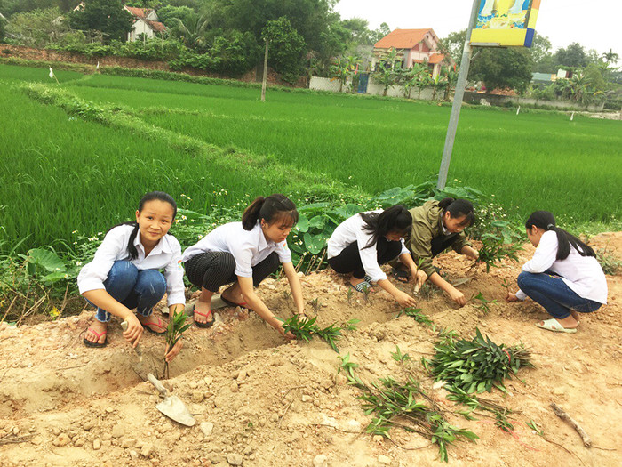 Học sinh thực hành trồng hoa, cây cảnh tại ven đường góp phần xây dựng nông thôn mới tại thôn Tân Tiến, xã Lê Lợi. (Ảnh: CTV) Học sinh thực hành trồng hoa, cây cảnh tại ven đường góp phần xây dựng nông thôn mới tại thôn Tân Tiến, xã Lê Lợi. (Ảnh: CTV)