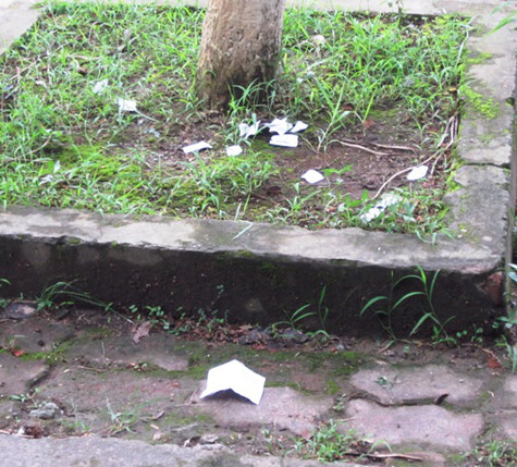 "Phao" nằm ngay tại gốc cây cách cổng trường THPT Phủ Lý A không xa. "Phao" nằm ngay tại gốc cây cách cổng trường THPT Phủ Lý A không xa.