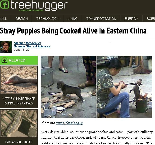 Bài và ảnh trên trang web Treehugger gây phẫn nộ trong cộng đồng mạng. Bài và ảnh trên trang web Treehugger gây phẫn nộ trong cộng đồng mạng.