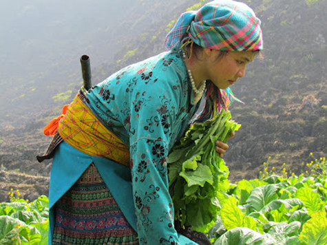 Cứ học đến lớp 7, lớp 8 thì các thiếu nữ xã Rờ Cơi, huyện Sa Thầy (Kon tum) lại thi nhau nghỉ học để đi… bắt chồng và xây dựng cuộc sống mới. (Ảnh minh họa). Cứ học đến lớp 7, lớp 8 thì các thiếu nữ xã Rờ Cơi, huyện Sa Thầy (Kon tum) lại thi nhau nghỉ học để đi… bắt chồng và xây dựng cuộc sống mới. (Ảnh minh họa).