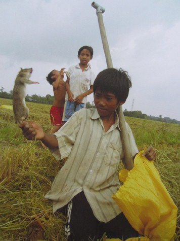Cũng tại triển lãm, nhiều khán giả đã không khỏi bất ngờ khi hiểu thêm về cuộc sống của những đứa trẻ ở khắp nẻo xa của đất nước. Báo điện tử GDVN gửi tới bạn đọc những hình ảnh ấn tượng.Triển lãm diễn ra tới hết ngày 22/4/2012. Bé Quang 13 tuổi đi gặt lúa phụ giúp bố mẹ. Sau khi gặt, cháu đi đào chuột, hôm nào được nhiều thì đem bán, ít thì mang về nhà ăn.