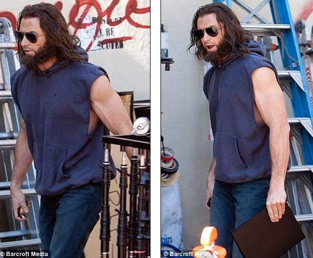 Hugh Jackman râu ria xồm xoàm trong tạo hình người sói hồi cuối tháng 8. Ảnh. Barecroft Media.